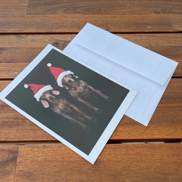 VINTAGE 90s 🐶 WILLIAM WEGMAN WEIMARANER DOG FOTOFOLIO CHRISTMAS CARD . 1995 XMAS - Picture 4 of 8